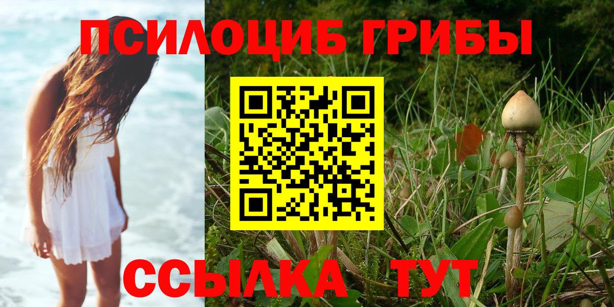 Псилоцибиновые грибы мицелий  Вход с VPN  магазин    Южноуральск  Псилоцибиновые грибы мухоморы 