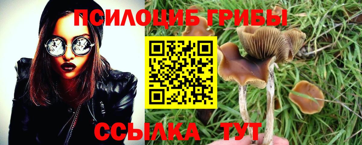 Псилоцибиновые грибы ЛСД Южноуральск